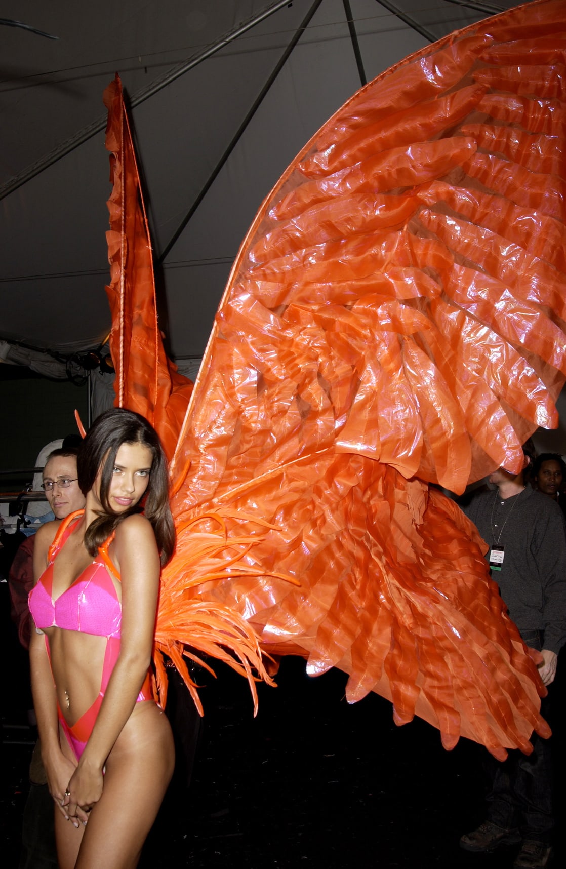 Adriana Lima in lingerie