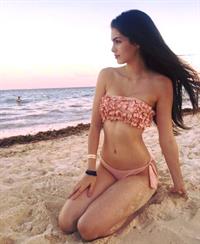 Denisse Franco in a bikini