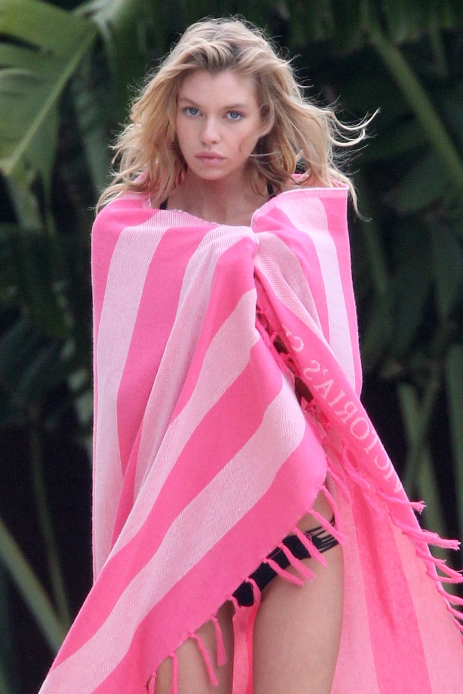 Stella Maxwell in a bikini