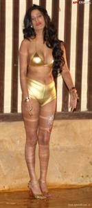 Poonam Pandey in a bikini