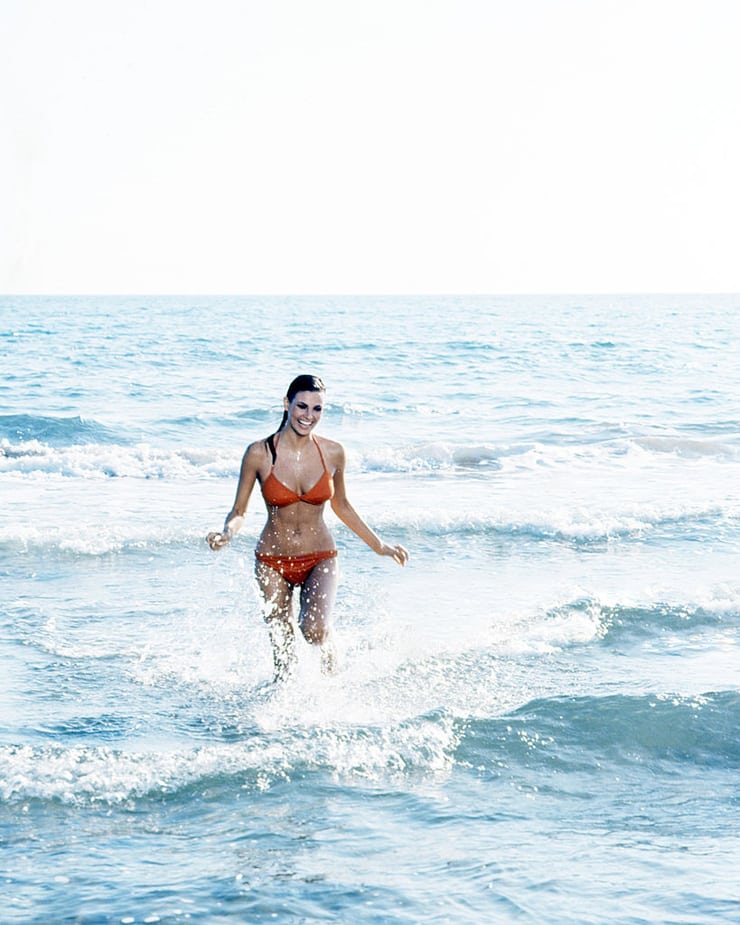 Raquel Welch in a bikini