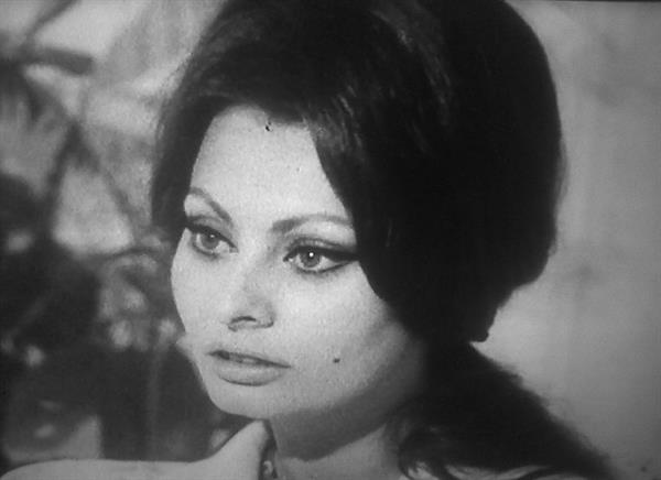 Sophia Loren