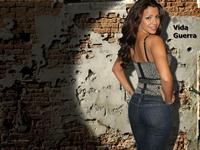 Vida Guerra