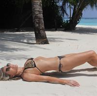 Elizabeth Hurley in a bikini