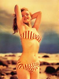 Marilyn Monroe in a bikini