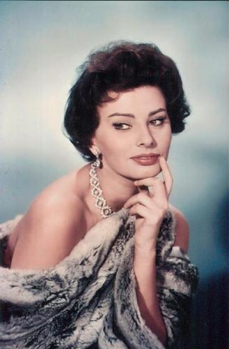 Sophia Loren
