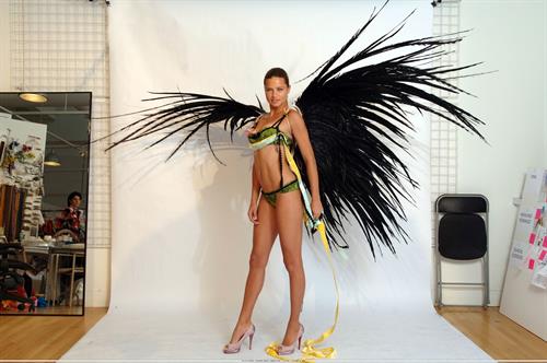 Adriana Lima in lingerie