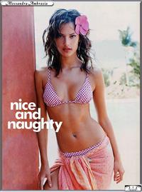 Alessandra Ambrosio in a bikini
