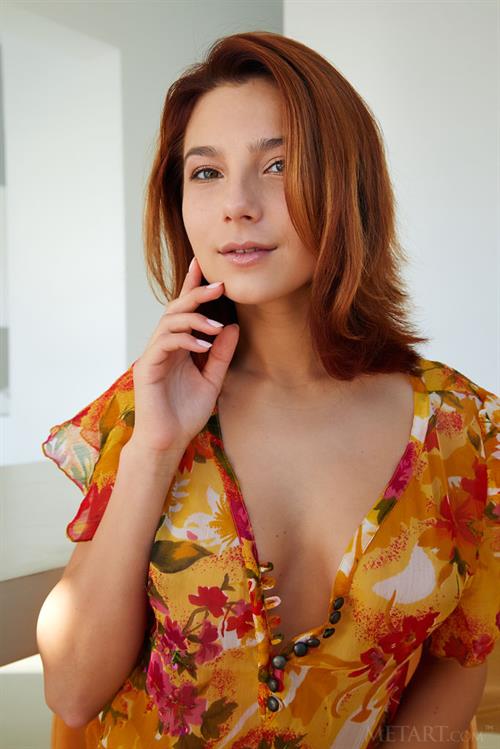 Belka Smereka Pictures Busty Belka Exposed