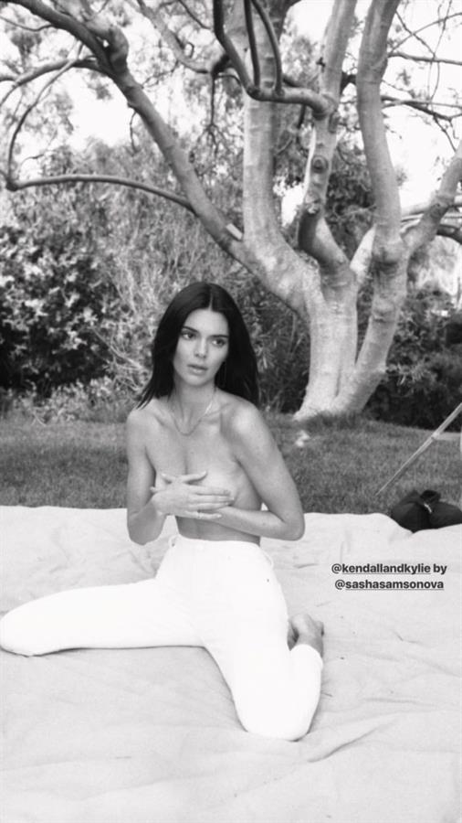 Kendall Jenner topless photo covering her nude boobs with her hands.














