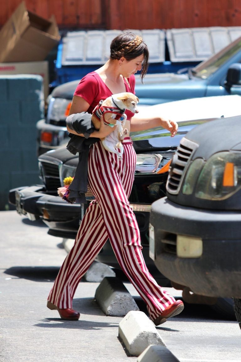 Scout Willis Pictures Scout Willis braless boobs in a small top seen by paparazzi.