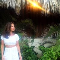 Minka Kelly