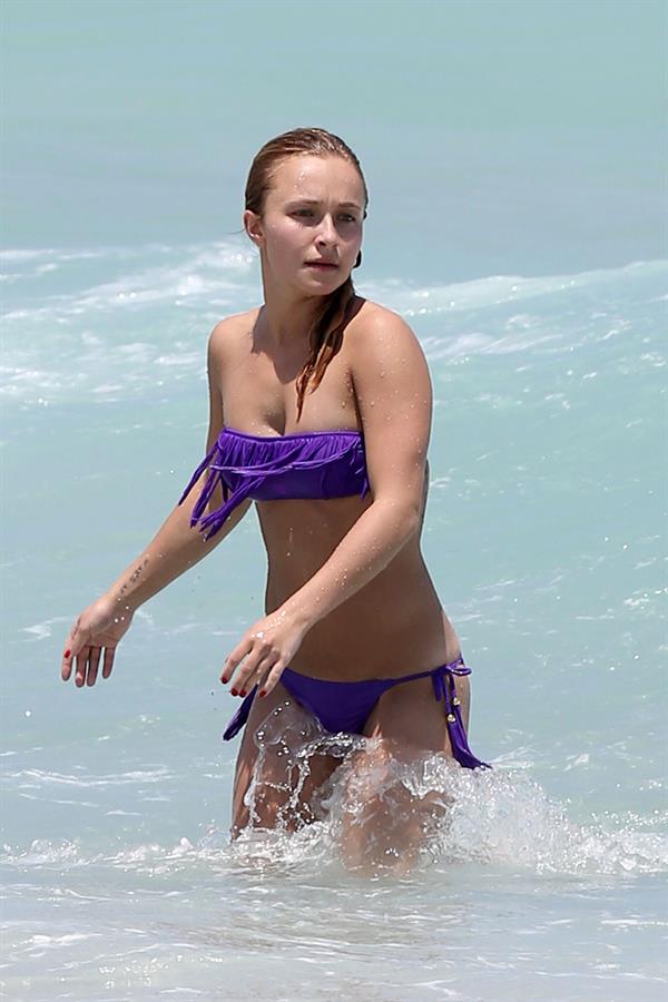 Hayden Panettiere in a bikini