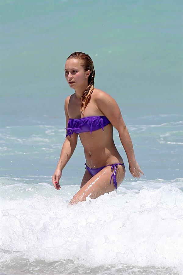 Hayden Panettiere in a bikini