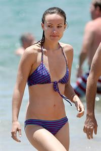 Olivia Wilde in a bikini