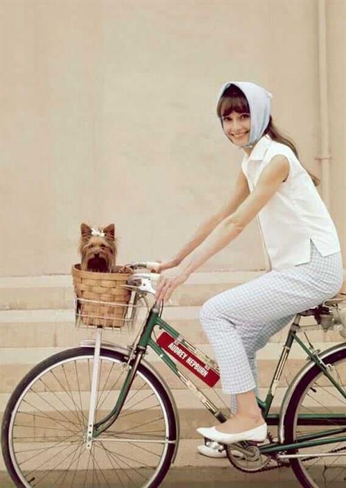 Audrey Hepburn