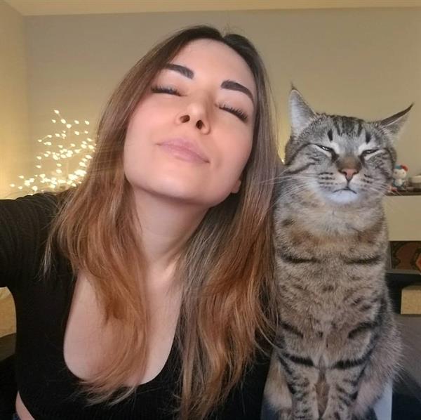 Alinity Divine