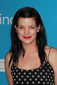 Pauley Perrette