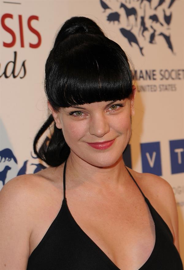 Pauley Perrette