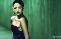 Zhang Ziyi