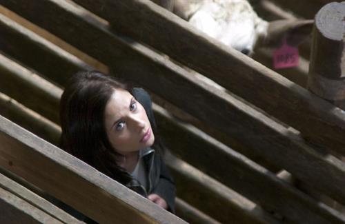 Sarah Michelle Gellar