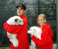 Sarah Michelle Gellar