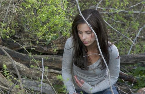 Sarah Michelle Gellar