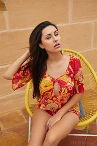 Angelina Socho Strips