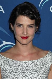 Cobie Smulders