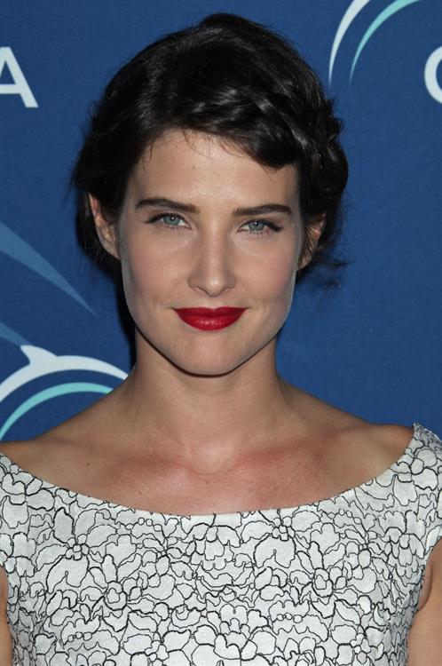 Cobie Smulders