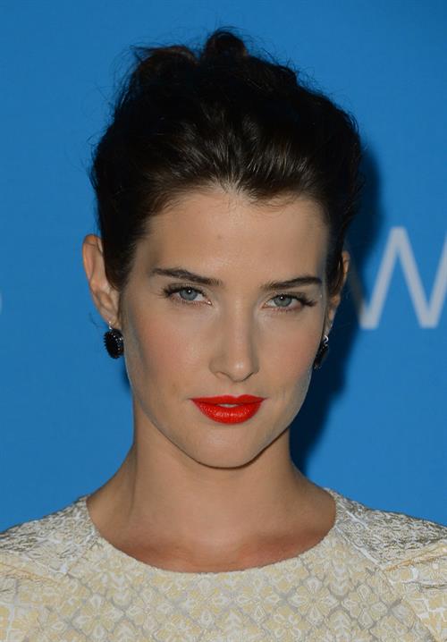 Cobie Smulders