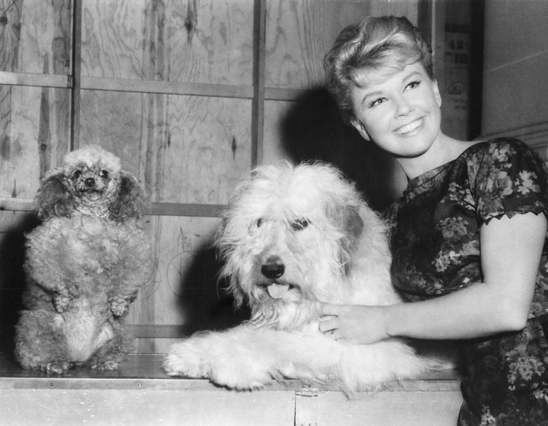 doris-day