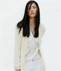Liu Wen
