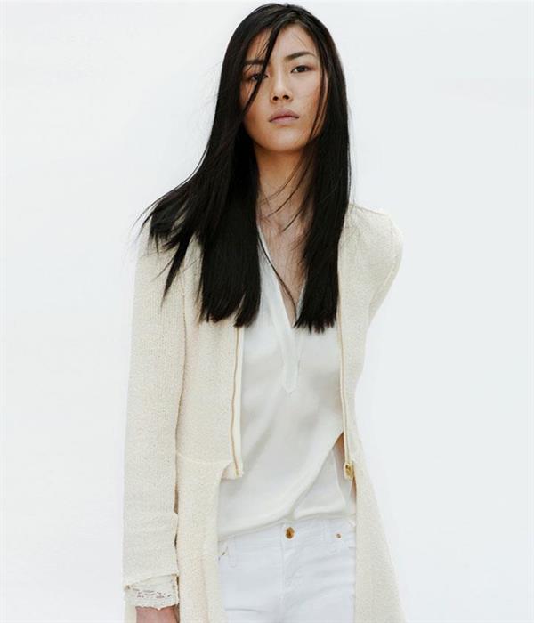 Liu Wen