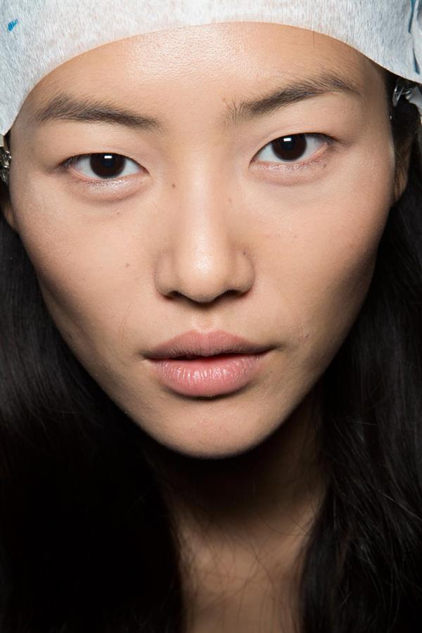 Liu Wen