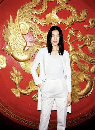 Liu Wen