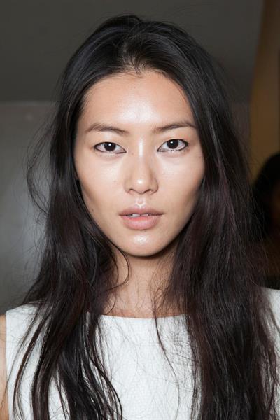 Liu Wen