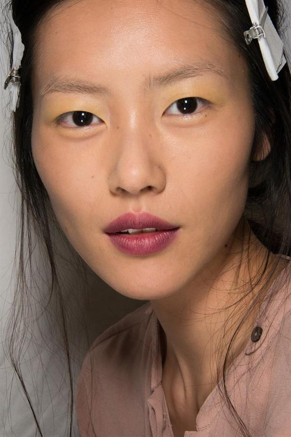 Liu Wen