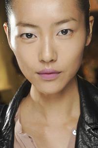 Liu Wen