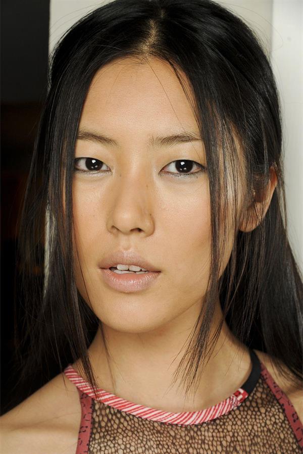 Liu Wen