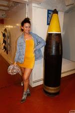 Savannah Small Tight Dress