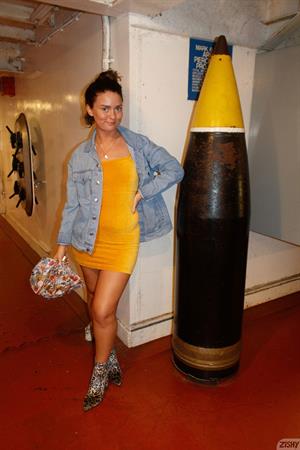 Savannah Small Tight Dress