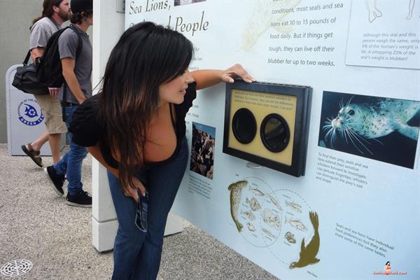 Denise Milani Snapshots - Aquarium