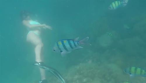 Alanna Panday Pictures Alanna Panday