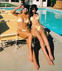 Sydney Sweeney in a bikini