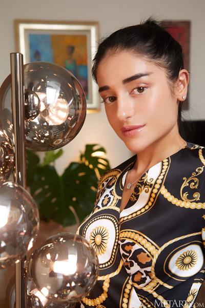 Ara Mix Petite Brunette