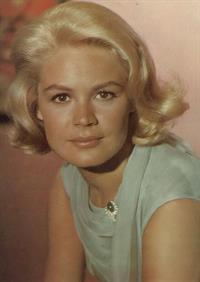 Sandra Dee