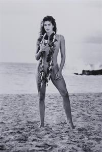 Cindy Crawford in a bikini
