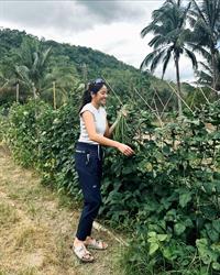Gretchen Ho
