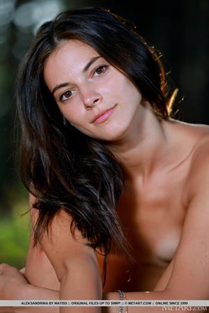 Aleksandrina Nude Pictures Exquisite Beauty